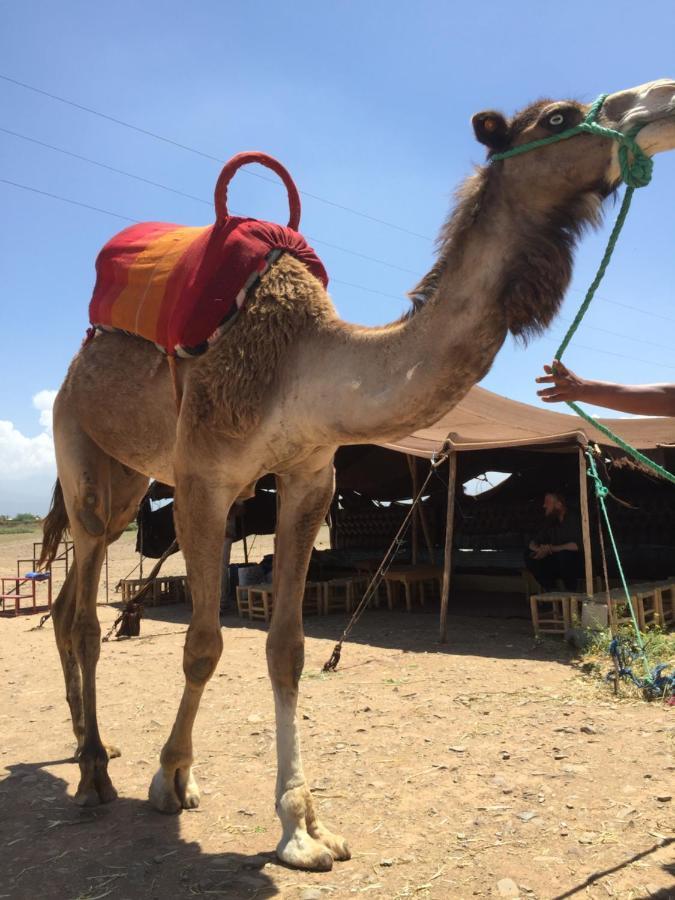 Riad Le Marrakech Berrima 마라케시 외부 사진